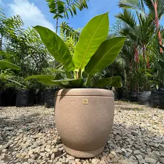 FORA DESIGN - Matera de plástico Balaio Tamaño Pequeño Color Arena