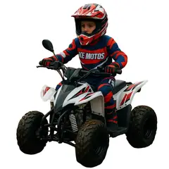 DISTRIONLINE - Cuatrimoto Zc-atv-03b 110cc