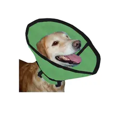 HALLY PET - Collar isabelino talla L Verde