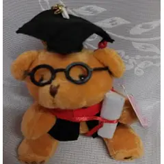 GENERICO - Llavero peluche osito grado