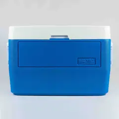 DECOCAR - NEVERA/CAVA ARCTIC 46 LTS 48 QTS