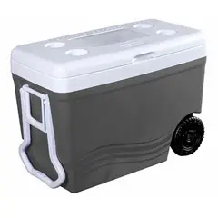 DECOCAR - NEVERA / CAVA ICE ROLLER STD 55 LTS 58 QTS