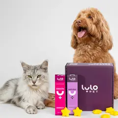 LULOPET - DUO HOGAR RELUCIENTE - DESINFECTANTE Y ELIMINADOR DE OLORES
