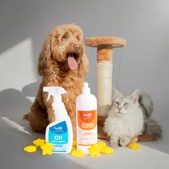 LULOPET - DUO MANCHAS FUERA - CLEAN DESINFECTANTE + OFF QUITAMANCHAS