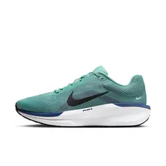 NIKE - Tenis Hombre Winflo 11