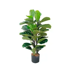RENOVEMOS - Planta Artificial Ficus Pandurata