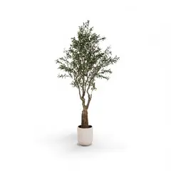 AMBIENTE LIVING - Olivo 260