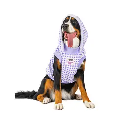 GENERICO - Combo para perro Leñador Lila - Talla XS - Cobija y Ropa para Mascotas