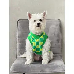 GENERICO - Chaleco para perro Flow Paw Verde - Talla 3XL - Ropa para Mascotas