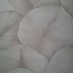 GENERICO - Papel tapiz paredes 5mt2