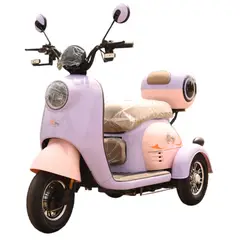 ECO BIKE - TRICICLO ELÉCTRICO ECOPLUS 800WATS 150KL 40km/h AUTONOMÍA: 40-45km