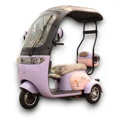 ECO BIKE - TRIMOTO TRICICLO ELÉCTRICO ECOGOLF 800WATS 150KL 35km/h AUTONOMÍA: 40-45km PARA ADULTOS