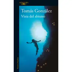 ALFAGUARA - Vista Del Abismo. Tomás González