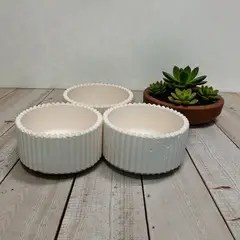 GENERICO - 3 Recipientes En Concreto Bowl Circular Maceta En Cemento 8x3.7cm