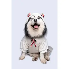 GENERICO - Buzo hoodie para perro Teddy - Talla 4XL - Ropa para Mascotas