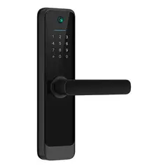 BIGCENTER - Cerradura Digital Domótica con Huella y Cámara