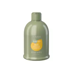 ALTER EGO - Shampoo Silk Oil efecto seda 300ml