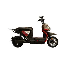 EVOBIKE - Bicicleta Eléctrica POLAR 48kmh color GRIS MATE 350W