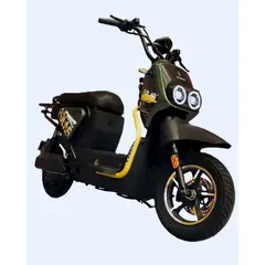 EVOBIKE - Bicicleta Eléctrica POLAR 48kmh color VERDE BEIGE 350W