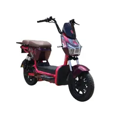 EVOBIKE - Bicicleta Eléctrica TIGRE 48kmh color MORADA 350W Batería Extraíble