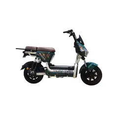 EVOBIKE - Bicicleta Eléctrica TIGRE 48kmh color VERDE 350W Batería Extraíble