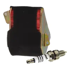 GENERICO - Filtro Aire Para Akt Dynamic Pro Y Bujia Encendido Iridio