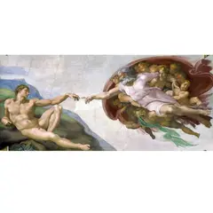 GENERICO - Cuadro Decorativo La Creación De David Lienzo Sublimado 1m X 50cm Sala