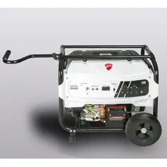 DUCATI - Planta Electrica Dgr5500 55 Kw