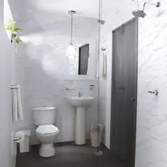 CORONA - Ducha Ultra Ahorradora Nogal Sencilla Cosmos Grival