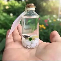 GENERICO - Marimo Moss Ball Natural Edad 1 Año en Recipiente de Cristal Tapa en Corcho