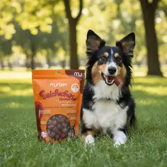 MUNGOS - Salchicha 1000 Gr