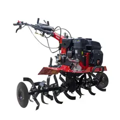 DUCATI - Motoazada Motoasada Gasolina Dtl 10000 De 7 Hp