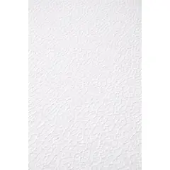 GENERICO - 30 Laminas De Cielo Raso en Icopor 124x62x1.5