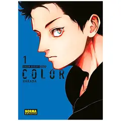 EDITORIAL NORMA - Color Recipe No. 1