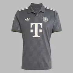 ADIDAS ORIGINALS - Camiseta adidas Hombre Wiesn Fc Bayern 24/25 - Gris