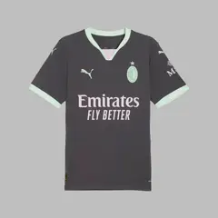 PUMA - Camiseta Hombre Ac Milan 24/25- Gris
