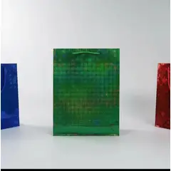 INFANTILES CAJUROMIX - Bolsa De Regalo Metalizada Diseño Holográfico Mediana Verde