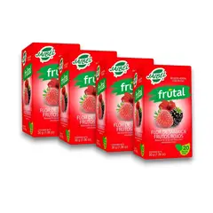 JAIBEL - Aromatica Flor De Jamaica 4 Pack X20 Sobres