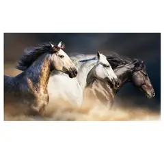 GENERICO - Cuadro Decorativo Marco MDF Imagen Digital vinilo adhesivo 120x60cm