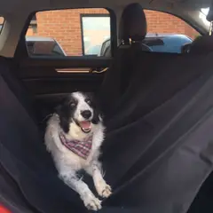 KARYTEX - Protector de carro para mascotas en microfibra impermeable
