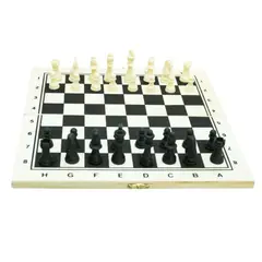 GENERICO - Juego De Ajedrez Internacional De Madera 28x28 cm Tablero Magnético Plegable Portátil