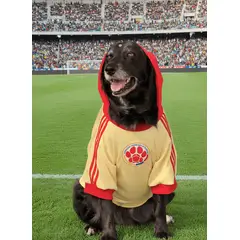 GENERICO - NUEVO PRODUCTO Buzo hoodie para perro Federación Colombiana - Talla L - Ropa para Mascotas
