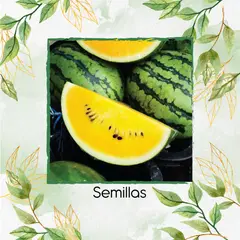 GENERICO - 5 Semillas Orgánicas De Sandía Miel Dorada