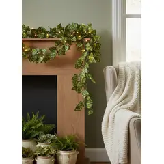 GENERICO - Docena Enredadera Corazón Manchado x12 2.30mts