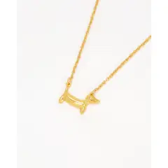 AVEMARIA - Collar Perro