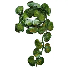 GENERICO - Docena Enredadera Hoja Redonda Premium 2.40mts x12