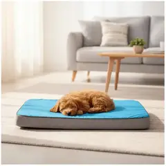 GENERICO - Cama Mascota Perro Gato Memory Protege Articulación 67x100x9