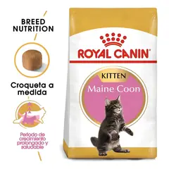 ROYAL CANIN - Alimento Gatito Fbn Maine Coon
