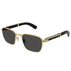 CARTIER - Gafas de Sol Unisex CT0363S