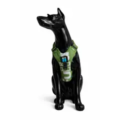 WHITE BULLDOG - X5 PRO FULLA SPORTS